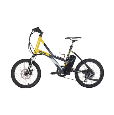 OEM Fascial Gun Batterij 24V 2600Mah Elektrische Fiets Verwijderbare Batterij