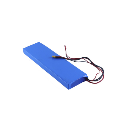 2500 mAh oplaadbare lithiumbatterij voor voertuigen 2,8 kg UN38.3